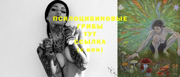 альфа пвп Снежногорск