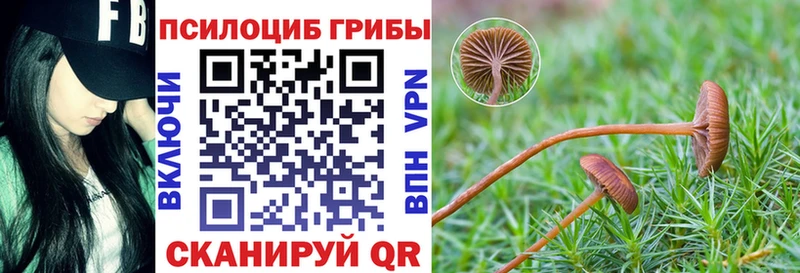 Псилоцибиновые грибы GOLDEN TEACHER  гидра ССЫЛКА  Соль-Илецк 