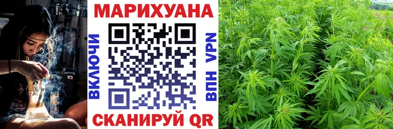 Бошки марихуана сатива  Соль-Илецк 